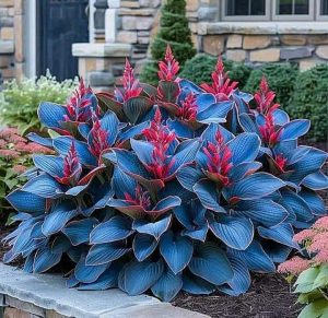 Хоста Грин Фог купить по цене от 669р. в интернет-магазине «Посадика» с доставкой почтой в в Велиже и по всей России – [изображение №1].