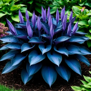 Хоста Сикрет Гров купить по цене от 570р. в интернет-магазине «Посадика» с доставкой почтой в в Велиже и по всей России – [изображение №1].